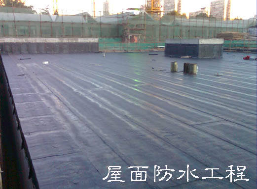 從根本上解決和防治建筑屋面滲漏問(wèn)題，專家給出的方案是從防水系統(tǒng)設(shè)計(jì)、施工過(guò)程、材料選材及質(zhì)量監(jiān)管和后期的管理維護(hù)等方面著手，嚴(yán)格規(guī)范